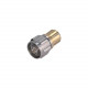 33_N-Q50-0-14/13-_NE