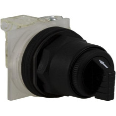 9001SKS11BH2
