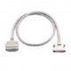 ACL-10262