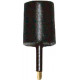 ANT-916-JJB-ST