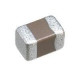 C2012CH2W101J060AA