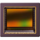 CMV8000-1E5C1PA