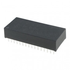 DS1250W-100+
