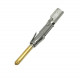 SM16ML1S31