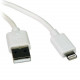 M100-003-WH