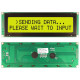 NHD-0220JZ-FL-GBW
