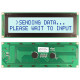 NHD-0220JZ-FSW-GBW