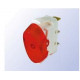 R13-226B-01-WRR-N2