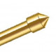 R-SS-100-NT-PLTD