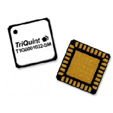 T1G6001032-SM