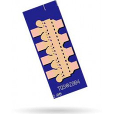 TGF2022-24