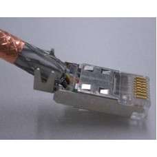 TM31P-TM-88P