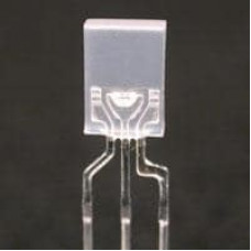 WP119SURKCGKWT