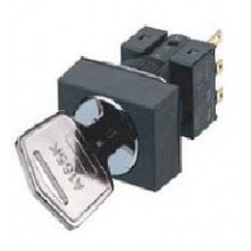 A165K-A2ML-2