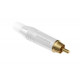 ACPR-WHT
