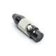 AX5FB8M