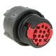 CL1P3101