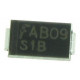 S1B