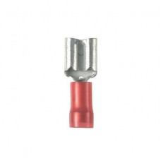 DMNF1-488-C