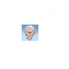 LSP-6WW520