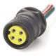 P172PAP1-12