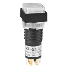 KB25SKG01-6B-JB
