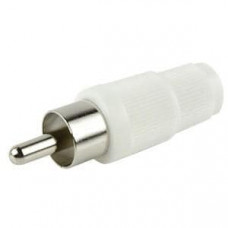 RCP-013