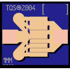 TGF2021-01